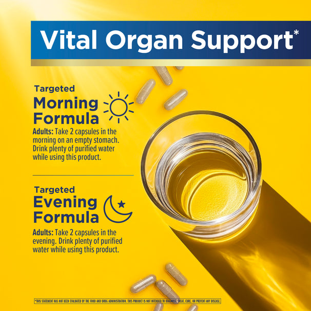 View 5 RN 3 Day Liver Cleanse graphic for Vital Organ Support. Morning: 2 capsules on empty stomach with water. Evening: 2 capsules with water.