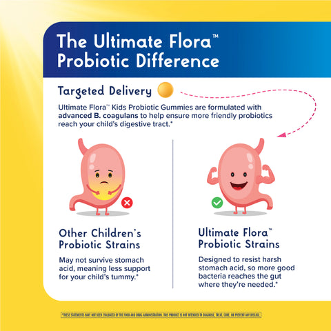 View 3 Infographic showing Ultimate Flora Probiotic Difference: B. coagulans endure stomach acid to reach the gut effectively.