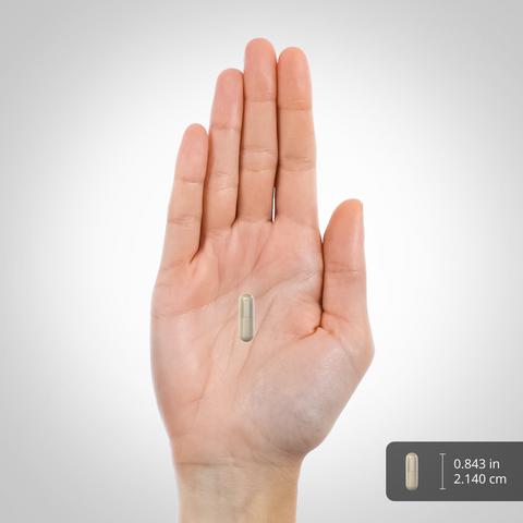 View 2 A hand holds a single capsule, measuring 0.843 inches or 2.140 cm.